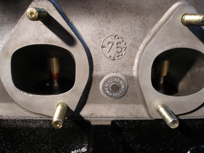 Image:two intake valves.JPG