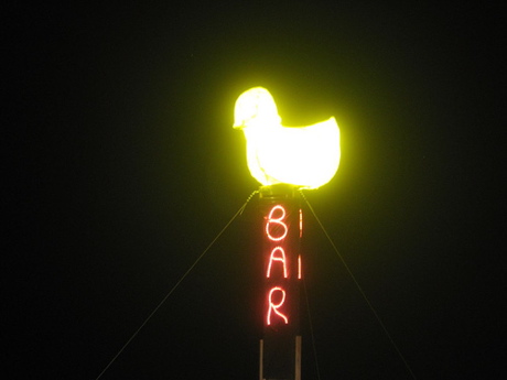 Duck lit up at night